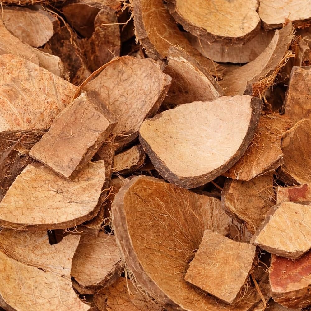 Natural Coconut Shell – Coconut Shell Pieces & Raw Coconut Shells for Crafts, Handicrafts, DIY Projects, Home Décor, Candle Holders, Puja, Gardening, Charcoal & Outdoor Cooking